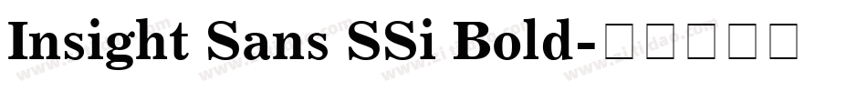 Insight Sans SSi Bold字体转换